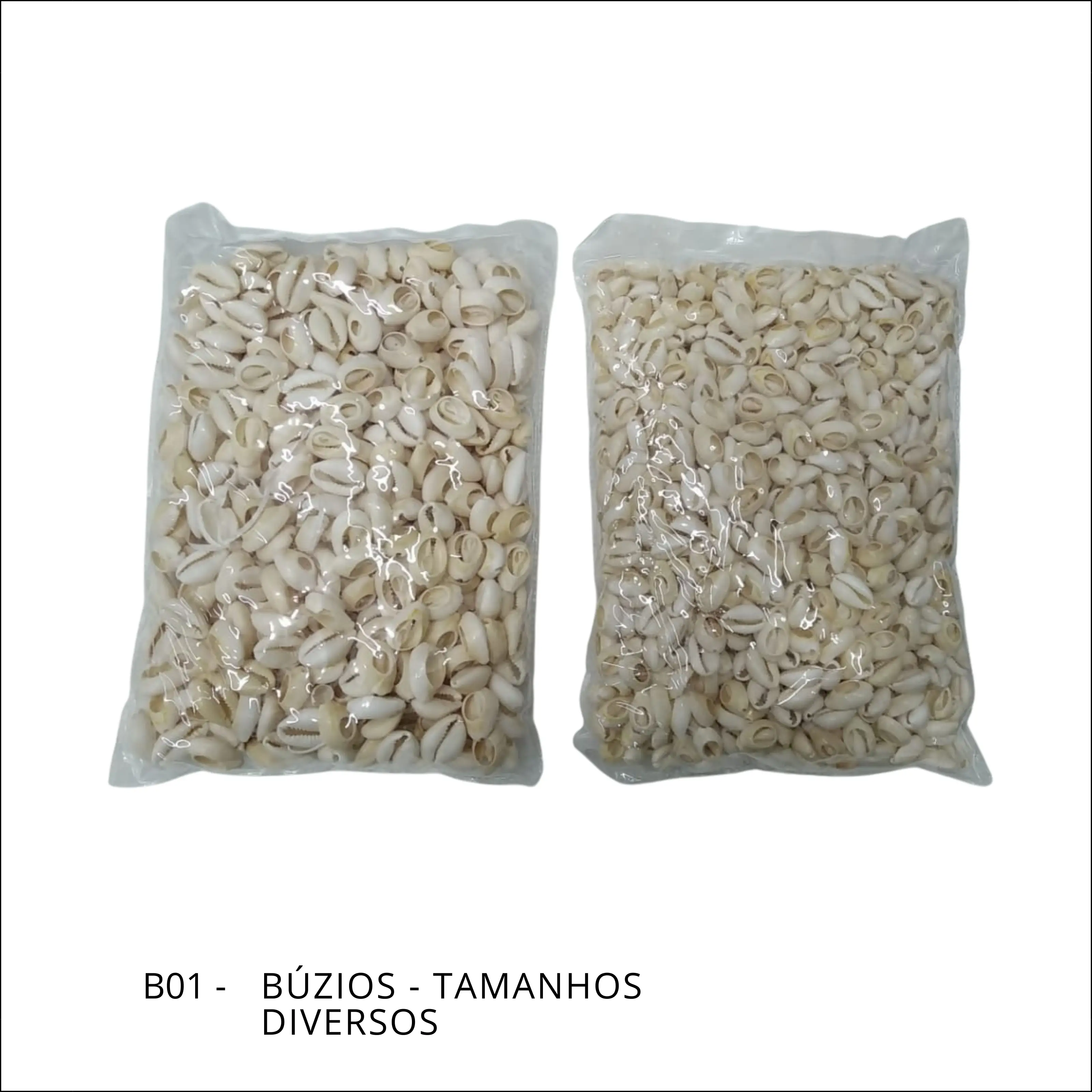 Búzios - Tamanhos diversos